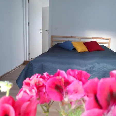 Guest house Sahat Hill 2*